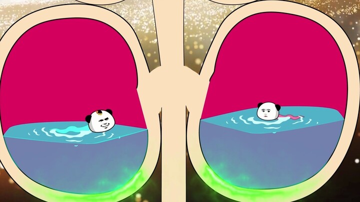 Nòng nọc: Tập 3: Cùng Hoàng hậu bước vào cánh cổng định mệnh và tái sinh
