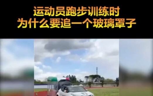 اتضح أن دور زملائك في الفريق يمكنه حقًا تشكيل التشكيلة!