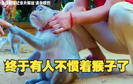 Indonesians are always successful at catching monkeys; whenever they fancy some meat, they don't eve