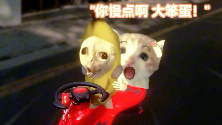 Tuổi mà cậu thích làm trò hề với mình nhất là 8 tuổi, kế đó là 18 tuổi.