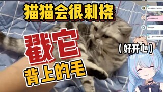 【ซิงซีเซกิ】สอนวิธีรังแกลูกแมว