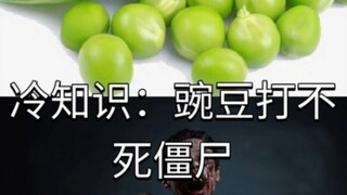 冷知识：豌豆打不死僵尸
