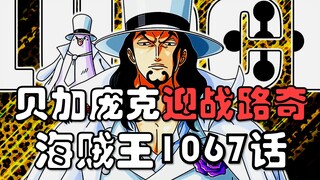 【阿旺】海贼王1067话！贝加庞克迎战路奇！cp0来袭！