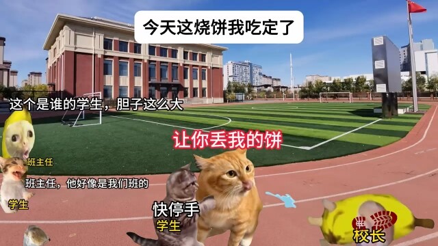 Siswa kelas tiga SMA: Roti bakar ini pasti jadi milikku! #meme kucing