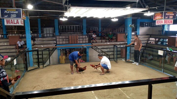 2nd fight 04/14/24 loss parin Tau nakuha sa taas d sumabay sa unang bakill nya ...