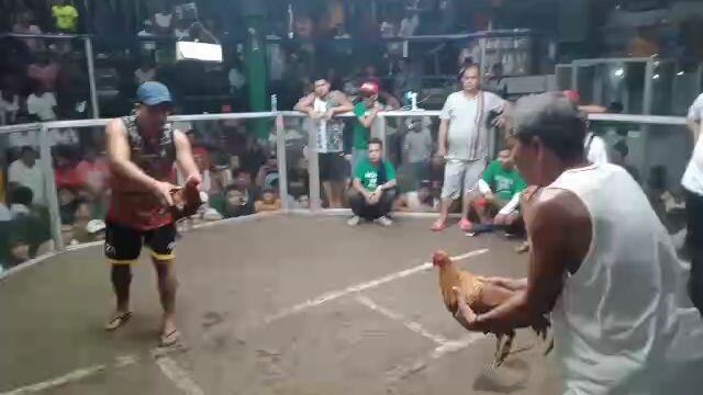 bulik 3x winner d nagsusugat 1st fight derby