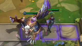 แพนโดร่า เตรียมพร้อมในตำแหน่ง