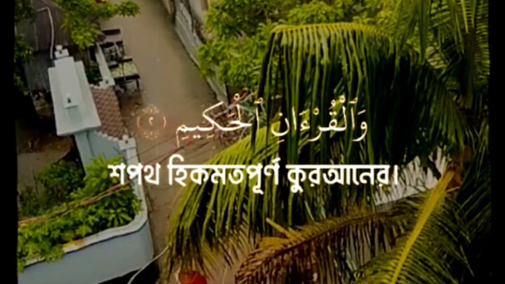 সূরা ইয়াসিন | মন জুড়ানো তিলওয়াত 🤍 #Shorts
