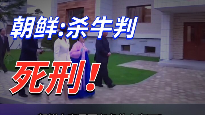 朝鲜杀牛有多严重？