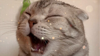 你有被小汪的舞姿征服到嘛……