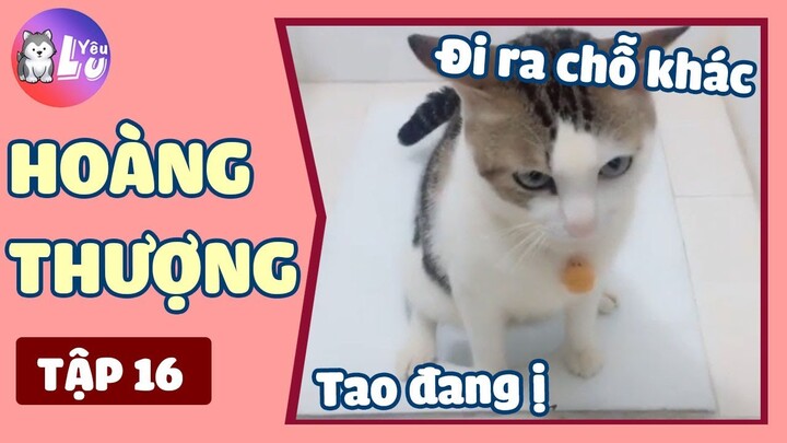 Hoàng Thượng (Tập 16) : Tao đi WC mày cũng quay phim à Sen ? | Yêu Lu Official