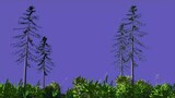 4k Greenscreen Animated tree grass leaves blowing in the wind