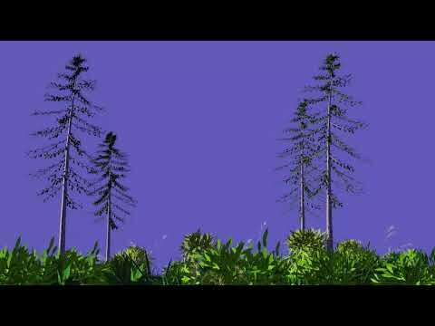 4k Greenscreen Animated tree grass leaves blowing in the wind