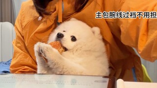 ماذا سيحدث إذا قمت بتقديم قطعة من لحم المجفف سرًا لزميلي في الفصل أثناء الحصة؟؟