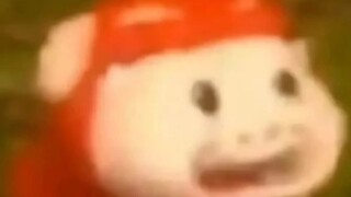 Funny Videos