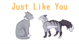 Just Like You - Clear Sky and Jagged Peak