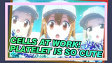[Cells at Work!] Platelet Is So Cute!