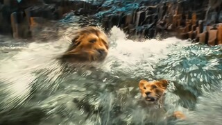 A story of loss and reunion ❤️‍🩹🐾#Mufasa 🦁#AnimalMovie 🎥#EmotionalScene 😢#FamilyLove ❤️