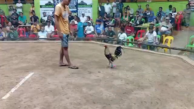 panalo abuhin X talisayin mga idol 🥳