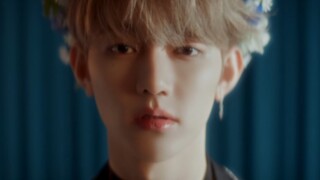 ZB1《Our Season》MV公开！