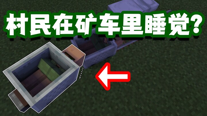 Minecraft Trivia: Do Villagers Actually Conduct Regular Population Censuses? Have You Ever Seen a Vi