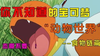 【你不知道的宝可梦】食物链篇01：揭秘宝可梦不为人知的“动物世界”