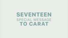 [RAW] SPECIAL MESSAGE TO CARAT | SEVENTEEN 'HARE' FANMEETING