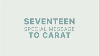[RAW] SPECIAL MESSAGE TO CARAT | SEVENTEEN 'HARE' FANMEETING