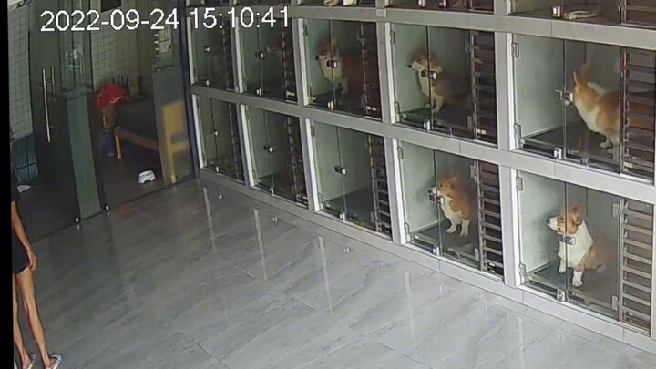 The Homeroom Teacher’s Intense Gaze