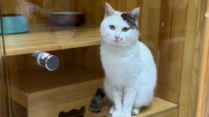 Life Is a Play, All About Acting