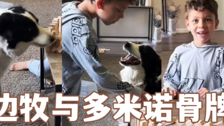 เด็กชายใจเย็นสุดๆ กับสุนัขเบอร์เนส์ เมาน์เทนด็อก ดูจบแล้วใจละลายเลย~