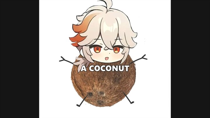 Maplehara Manyo: Saya adalah kelapa