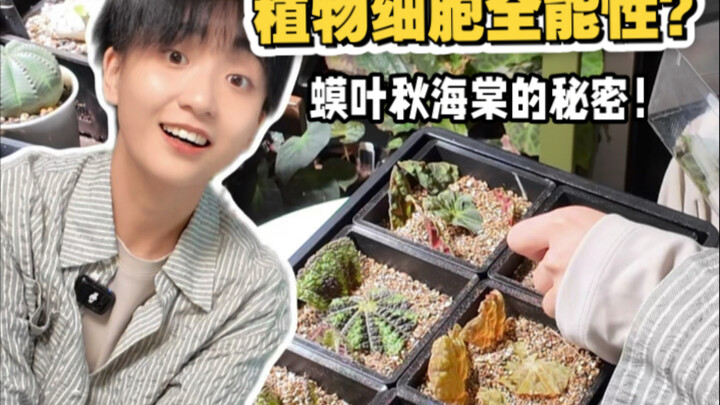 Vlog di rumah! Hari ini lagi-lagi penuh perjuangan ekstrem dengan tanaman!