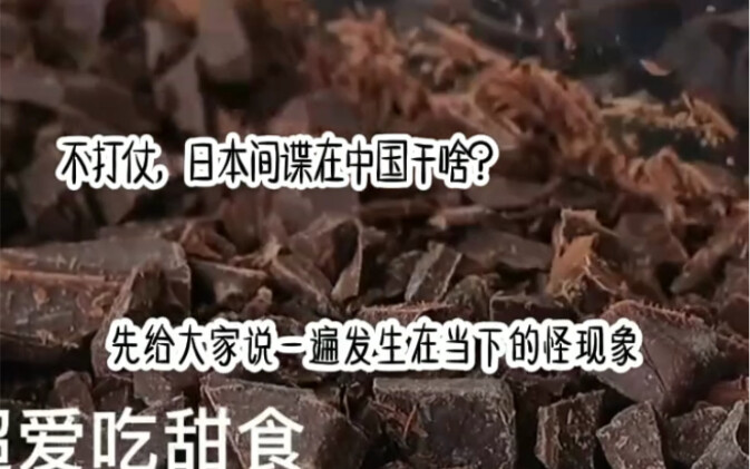 Không chiến tranh, gián điệp Nhật Bản làm gì ở Trung Quốc?