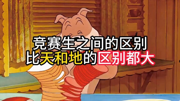 الفرق بين العباقرة في المسابقات وطلاب المسابقات العاديين كبير جدًا!