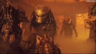 [Film&TV]The Predator only respects the strong