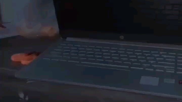 spesies macam apa mereka ini ?