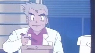 "The Autobiography of Pidgeot", the world of Pidgeot you don't know, bring your own tissues!
