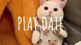 [Vietsub + Lyric] Play Date (remix) - Kayl x Duy Hậu Mix | Song Tik Tok