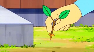能随意进出别人家里的寄生植物 # 哆啦A梦