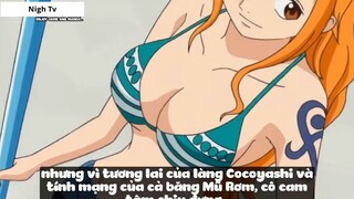 Top 6 Mĩ Nhân Trong Dàn Harem Của Luffy #10- 4