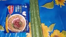 tara kain