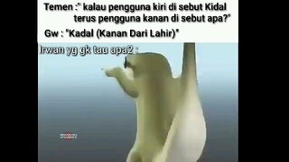 Kadal