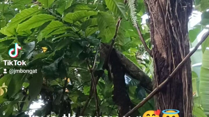 the beauty of nature🥰