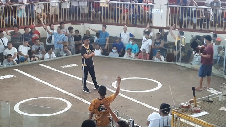 first fight February 2023 2hits