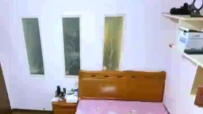 Chú chó giả vờ đang ngủ
