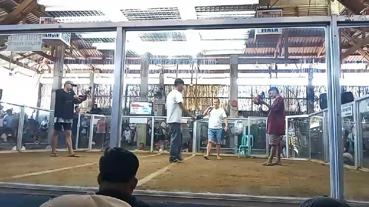 RMR black talo laki ng kalaban at matanda