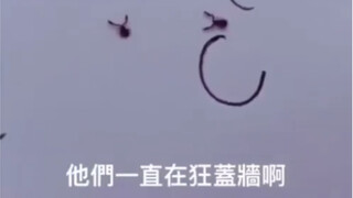 三维生物对二维生物无情迫害