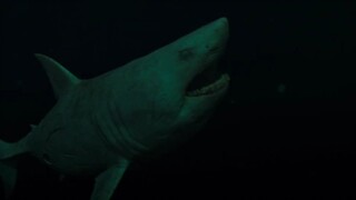 47 Meters Down Uncaged