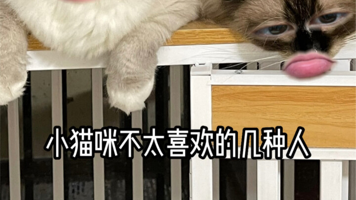 Several Personality Traits That Kitties Really Don’t Like～